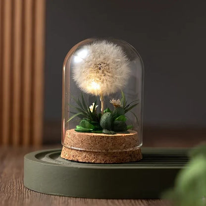 Preserved Flower Glass Dome Night Light 4