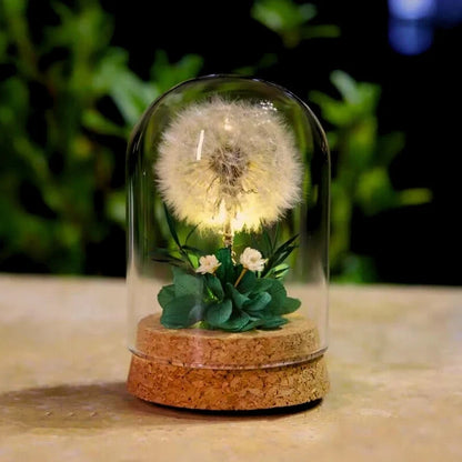 Preserved Flower Glass Dome Night Light 12