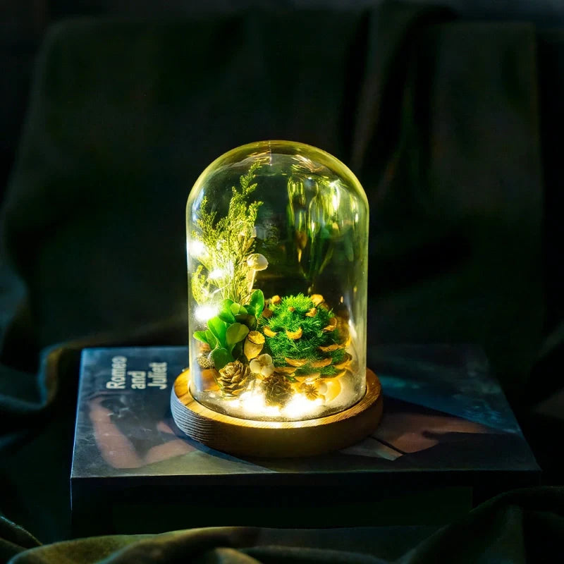 Preserved Flower Glass Dome Night Light 14