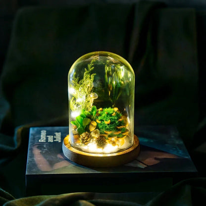 Preserved Flower Glass Dome Night Light 14